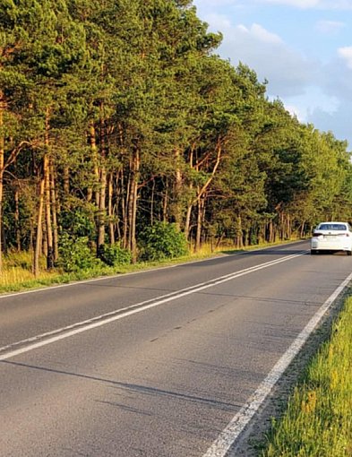 Wieliszew: Nowa ścieżka rowerowa przy DW632. Szukają projektanta-139943