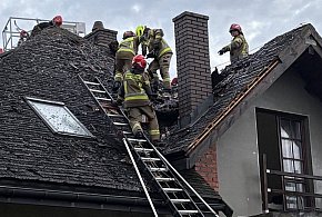 12 zastępów straży w akcji. Groźny pożar przy ul. Zacisze w Serocku-140294