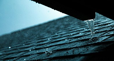 Legionowo: Zbiór deszczówki z dofinansowaniem? Ratusz nie mówi "nie"-140352