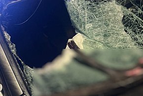 Bolesławowo: Zderzenie bmw z łosiem na DK62-140533