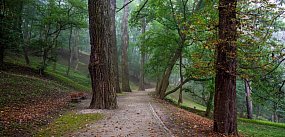 Coraz więcej ludzi boi się... przyrody. Naukowc...