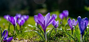 Arktyczne powietrze na Wielkanoc? IMGW zapowiada...