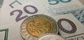 Czy 800 plus powinno wzrosnąć do 1000 zł? Oto...