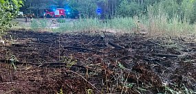 Strażacy gasili pożar lasu przy Jeziorku Leśniczówka