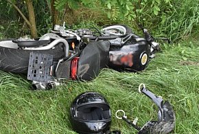 Zderzenie z łosiem na DW630 w Jabłonnie. Motocyklista trafił do szpitala-140881