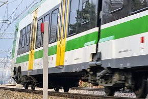 Chotomów: Pociąg Kolei Mazowieckich zderzył się z łosiem-141054