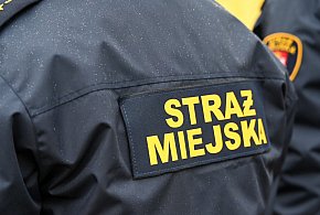Zapuka strażnik, możesz zapłacić karę. Ruszyły kontrole w całej Polsce-141659