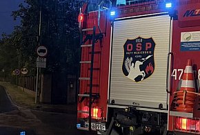 Józefów: Bobry powaliły drzewa na ul. Słonecznego Poranka-142148