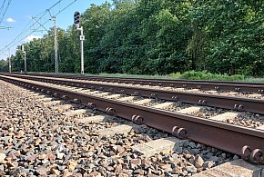 Pociąg potrącił łosia. Zwierzę nie przeżyło-142328