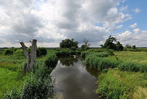 Co dalej z nowym parkiem narodowym? Minister klimatu zdradza plan po wecie-142389