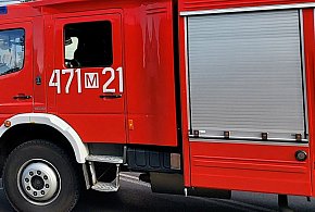 Pożar tui i ogrodzenia w Nowej Wsi. Ogień mógł przenieść się na dom-142451