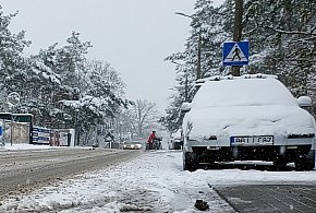 Białobrzegi: Zimowe warunki na drogach. Mercedes uderzył w drzewo-142653