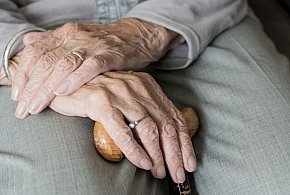 Te osoby dostaną dwie emerytury w grudniu. ZUS przesuwa przelewy-142713