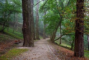 Coraz więcej ludzi boi się... przyrody. Naukowcy alarmują o rosnącej...-143075
