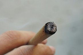 Legionowo: Palił "zioło" w piwnicy. Nie spodziewał się tam policjantów-143322