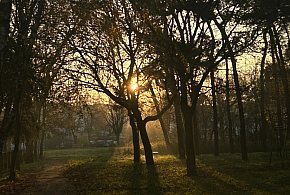 Nadchodzi najkrótszy dzień w 2025 roku. Sprawdź, kiedy przypadnie-143394