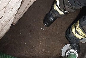 Jadwisin: W domu przy Spacerowej zalało piwnicę
