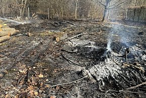 Pożar trawy w Jadwisinie. Ogień zagrażał pobliskim budynkom