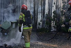 Wieliszew: Przy ul. Niepodległości paliły się tuje. Kierowcy ruszyli z gaśnicami