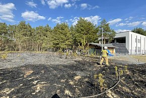 Groźny pożar w Trzcianach. Blisko hektar traw w ogniu, płonął także las