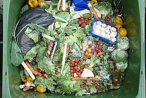 Nawet 3 tys. zł rocznie trafia do kosza. Tyle kosztuje marnowanie żywności