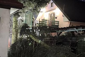 Legionowski: Połamane i uszkodzone drzewa. Ponad 30 interwencji strażaków