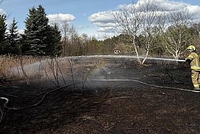 Pożar trawy w Józefowie. Ogień zagrażał zabudowaniom i lasowi