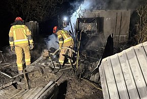 Cupel: Pożar altany przeniósł się na 4 działki. Zagrażał domkom letniskowym