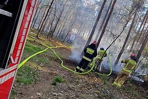 Nie pada od tygodni. Seria pożarów traw i ściółki w powiecie legionowskim
