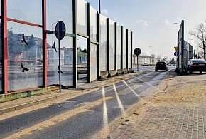 Rowerzystka wtargnęła na przejście dla pieszych. Kierująca osobówką...