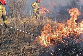 Jabłonna: Dwa pożary traw. Podczas jednego spłonęło auto