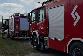 Łajski: Pożar drzew przy Sikorskiego zagrażał budynkom