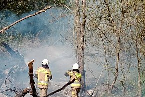 Jabłonna: Dwa pożary traw. Podczas jednego spłonęło auto