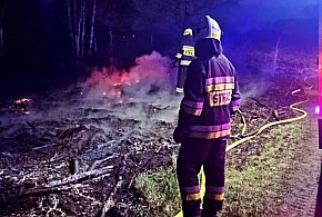 Wólka Radzymińska: Pożar łąki przy ul. Lotników