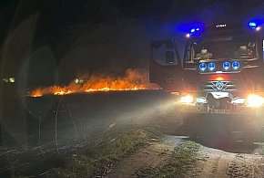 Nocny pożar lasu w gminie Nieporęt. Strażacy apelują do mieszkańców