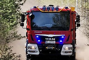 Legionowo: Ktoś podpalił las przy IMGW? Sprawą zajmie się policja
