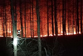 Nocny pożar lasu w gminie Nieporęt. Strażacy apelują do mieszkańców