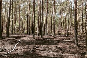 Kąty Węgierskie: Dogaszali ściółkę leśną. Kontynuacja pożaru z soboty