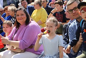 XVI Festyn "Matczyna Niedziela" już 24 maja. Jakie atrakcje?