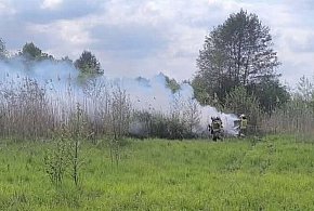 Pożar samochodu w pobliżu jeziora Góra. Auto nie miało tablic rejestracyjnych
