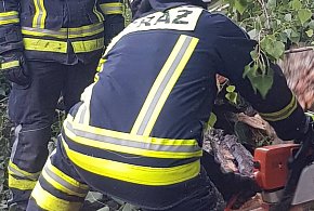 Jabłonna: Drzewo zablokowało ruch na DW630