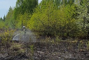 Wieliszew: Pożar trawy i krzaków przy Modlińskiej