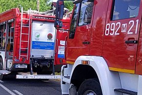 Serock: 83-latka zasłabła za kierownicą. Wjechała w tuje
