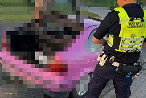Wierzbica: Driftował sportowym autem. Stracił prawo jazdy