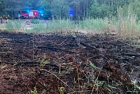Strażacy gasili pożar lasu przy Jeziorku Leśniczówka