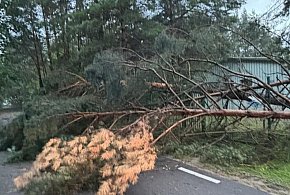 Burze nad powiatem legionowskim. Pożar po uderzeniu pioruna i zalewana posesja