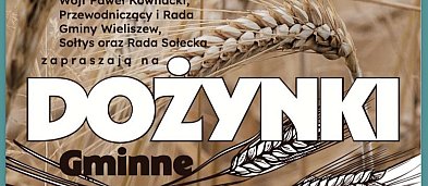 Dożynki Gminne w Skrzeszewie (gmina Wieliszew)-234765