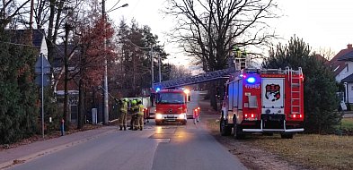 Michałów-Grabina: Uszkodzone drzewo zagrażało linii energetycznej-142625