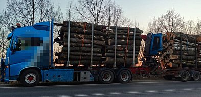 32-latek zatrzymany w Nieporęcie. Ciężarówka była przeładowana, a kierowca...