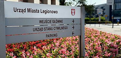 Nowe donice i setki nasadzeń wzdłuż Piłsudskiego. Ratusz szuka wykonawcy